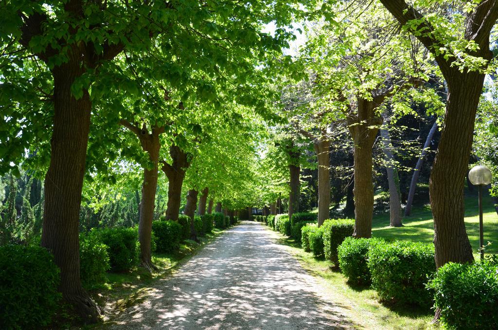 Villa Montanari Rosati Porto San Giorgio Extérieur photo